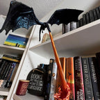✨Dragon Flame Book Corner