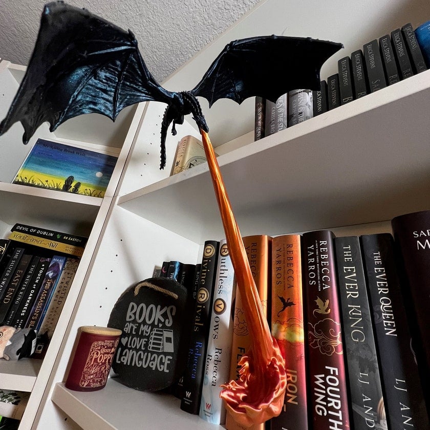 ✨Dragon Flame Book Corner